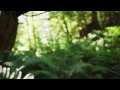 Download Lagu Emancipator \