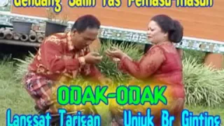 Download ODAK ODAK | LANGSAT TARIGAN \u0026 UNJUK BR GINTING || album gendang salih ras masu masu MP3