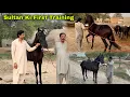 Download Lagu Sultan Ki First Training Start Ho Gai 🎠 || Chaalbaaz Sultan ❤️
