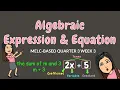 ALGEBRAIC EXPRESSIONS EQUATIONS GRADE 6