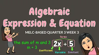 ALGEBRAIC EXPRESSIONS EQUATIONS GRADE 6