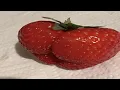 random memes i found on the internet ylyl PT 575