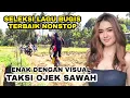 kumpulan lagu bugis terpolpuler 2023 sangat enak waktu kerja dan dirumah +Taksi ojek sawah