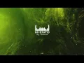 DzenB - Go Stupid [Electro House]