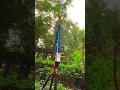 Download Lagu Cutting trees with Powerful Laser.