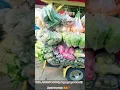 Pedagang sayur viral | sayurba (sayur serba ada) #shorts
