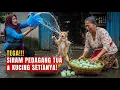 Download Lagu Pedagang Tua \u0026 Kucing Setia Disiram! Lihat Siapa yang Menangis di Akhir!