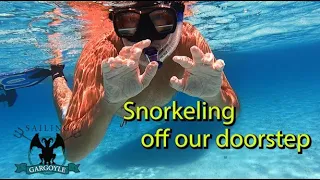 Snorkeling in our backyard – Sailing the Turks and Caicos Ep 55