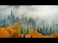 Download Lagu Beautiful Relaxing Music, Peaceful Soothing, \
