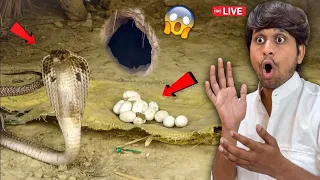 😲 Sirf 5 Minutes Me Aur Wo Bhi Saath Me🐍😱 Real Snake Mil Gaya Lekin...