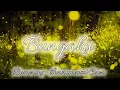 Download Lagu Bungaku | Boomerang (Instrumental Guitar Cover)