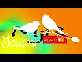 تم فتح قناة جديد mr.j