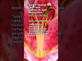 Download Lagu ACİL DİLEĞİ İHTİYACI İSTEĞİ SIKINTISI OLANLAR OKUSUN MUCİZEVİ ZİKİR 🤍 #islamicvideo