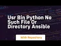 usr bin python no such file or directory ansible