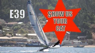 Show us your cat! E39 Holland, Chille and USA