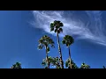 Being Free - Indian Wells California