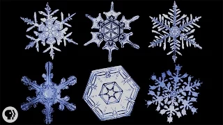 Download The Science of Snowflakes MP3