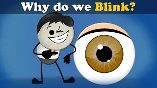 Download Why do we Blink + more videos | #aumsum #kids #science #education #children MP3