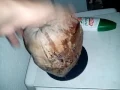 Outdoor Ash Tray made from Coconut