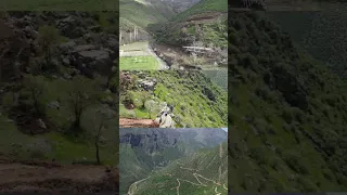                                                        دندنها