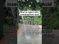 What to expect after inserting Boric Acid