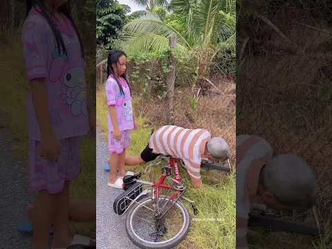 Chó chó chó #kenfamily #haihuoc #funny
