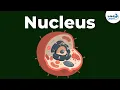 Nucleus Cell Infinity Learn