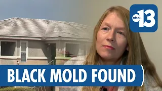 Local Woman s Black Mold Discovery Sparks Tenant Rights Warning in Nevada