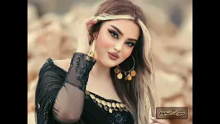 الفنان حسان الجبوري زوري 2024 