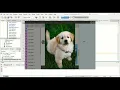 Chat App with Java Part 5
