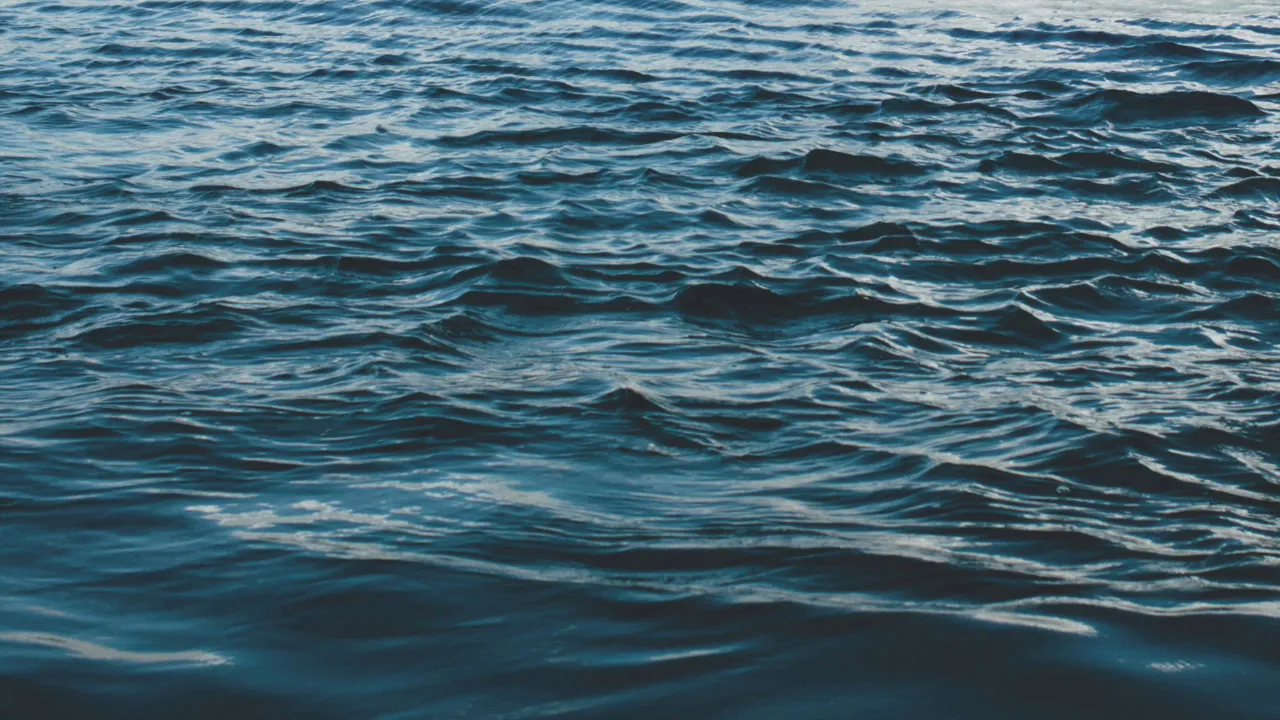 Doctor Rockit - Prince Cha-Cha-Charming