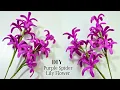 How to Make a DIY Purple Spider Lily Flower Pipe Cleaner Craft