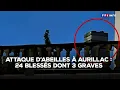 Download Lagu Attaque d'abeilles à Aurillac : 24 blessés dont 3 graves｜TF1 INFO