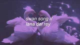 Download swan song || lana del rey lyrics MP3