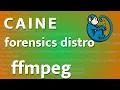 CAINE - 12
