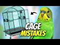You re Setting Up Your Bird Cage All Wrong