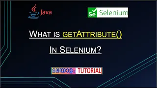 P44 - How To Get Attribute Value In Selenium WebDriver4 What is getAttribute method in Selenium