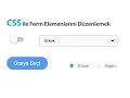Editing Form Elements with CSS