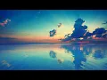 Plexus Software Demo