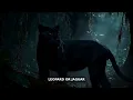 The Black Panther Isn't Real — The Jungle's Greatest Disguise