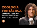 Download Lagu The Remora, the Hairy One, and the Ink Monkey: Fantastic Zoology (1998)
