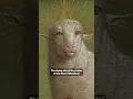 Why does this sheep look so WEIRD
