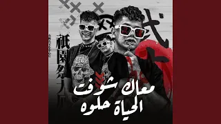                          دندنها