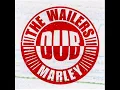 The Wailers (with Lloyd Willis) - Concrete Jungle Instrumental