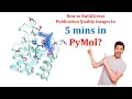 Learn How to Make Great Publication Quality Images in Pymol in 5 Minutes