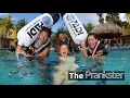 Download Lagu Types of PADI Divemasters