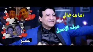 اسمع حفلة النجم اسامه غالي مولد الاصيل 