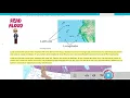 Odysseyware Instructional Help