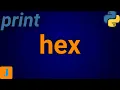 Python Print Hex