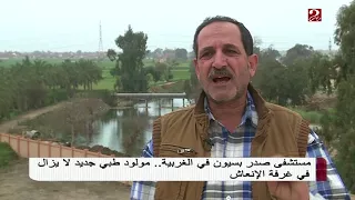 عضو مجلس النواب بدائرة بسيون يكشف أسباب عدم إفتتاح مستشفي بسيون للصدر دندنها